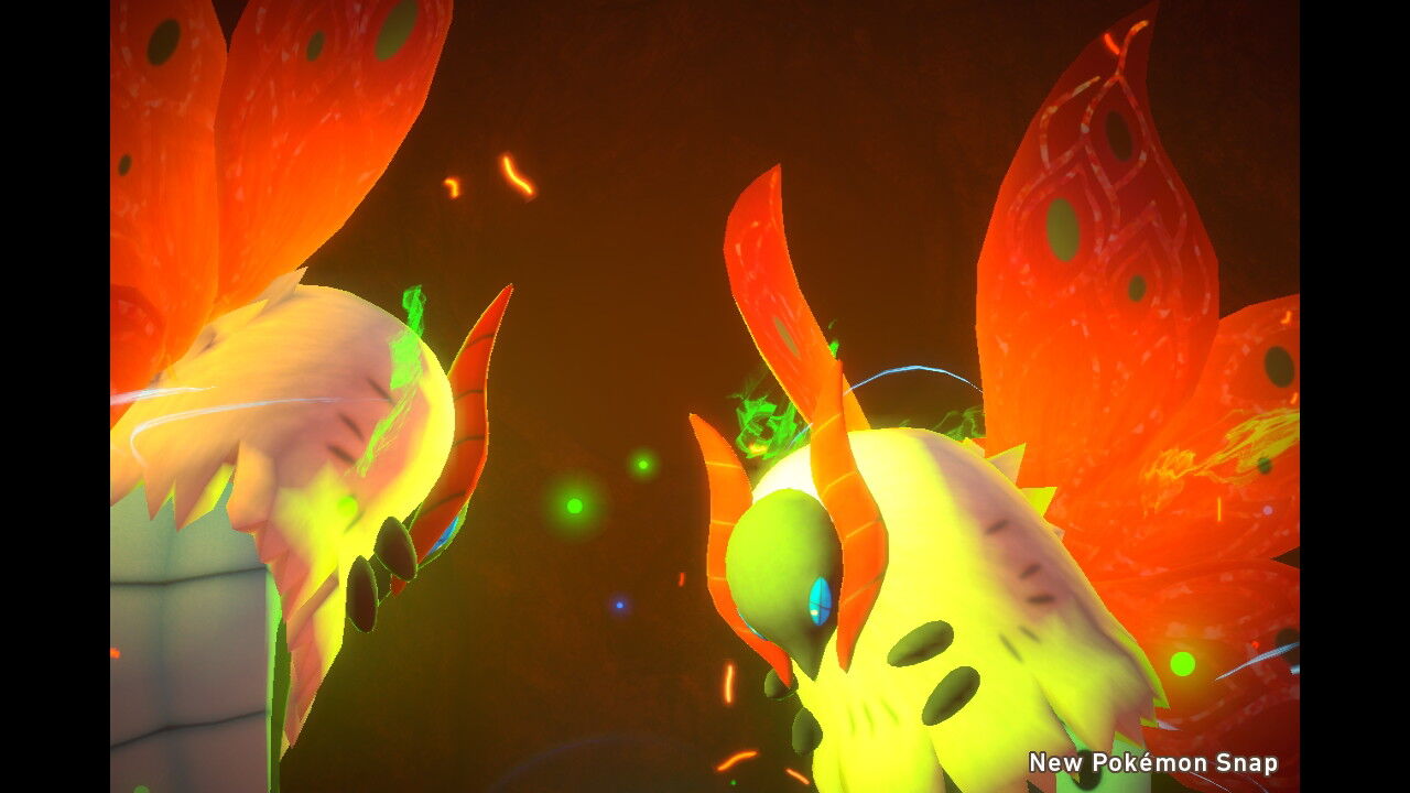 New ポケモンスナップ ウルガモス ねこじゃらし New ポケモンスナップ ウルガモス ねこじゃらし
