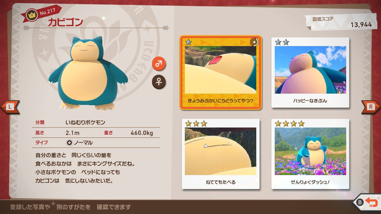 New ポケモンスナップ クレ抜け道 昼 キノココ カビゴン ねこじゃらし