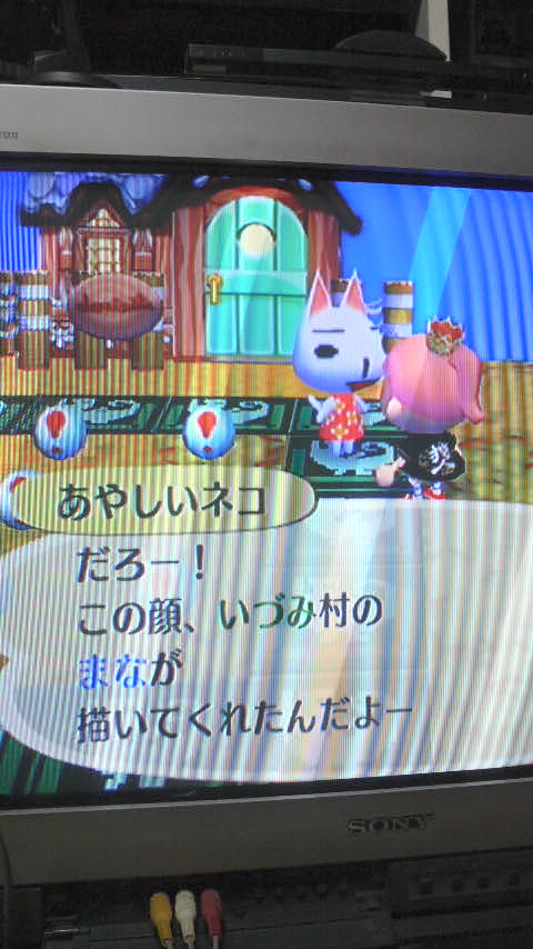 あやしいネコと残る目標 どう森 ねこじゃらし