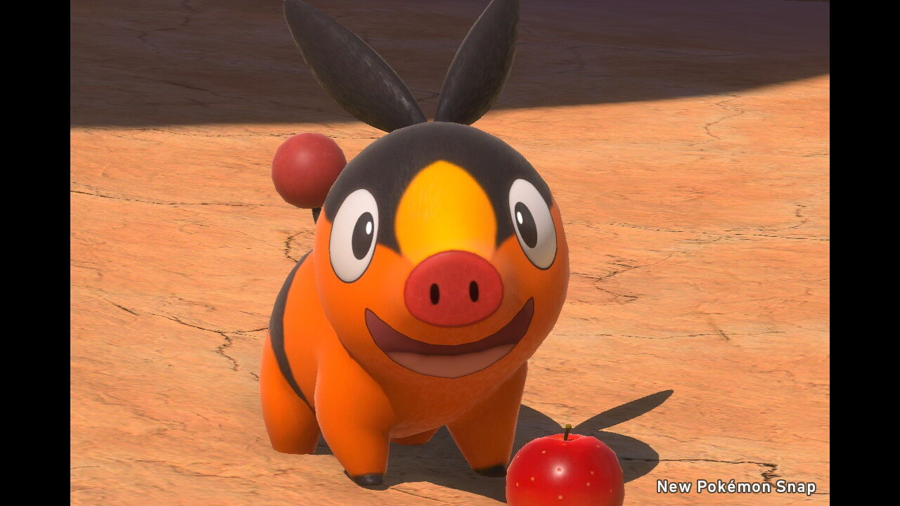 New ポケモンスナップ カラリ荒野 昼 ポカブ ドガース マルノーム エンニュート ねこじゃらし