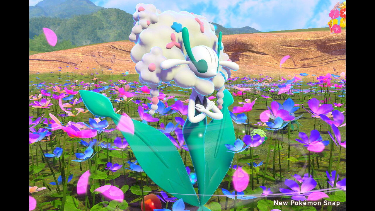 New ポケモンスナップ フラージェスの色 白のフラージェス ねこじゃらし