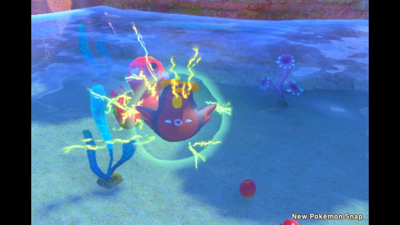 New ポケモンスナップ キレイハナ マッギョ カイリキー カメックス ねこじゃらし New ポケモンスナップ キレイハナ マッギョ カイリキー カメックス ねこじゃらし