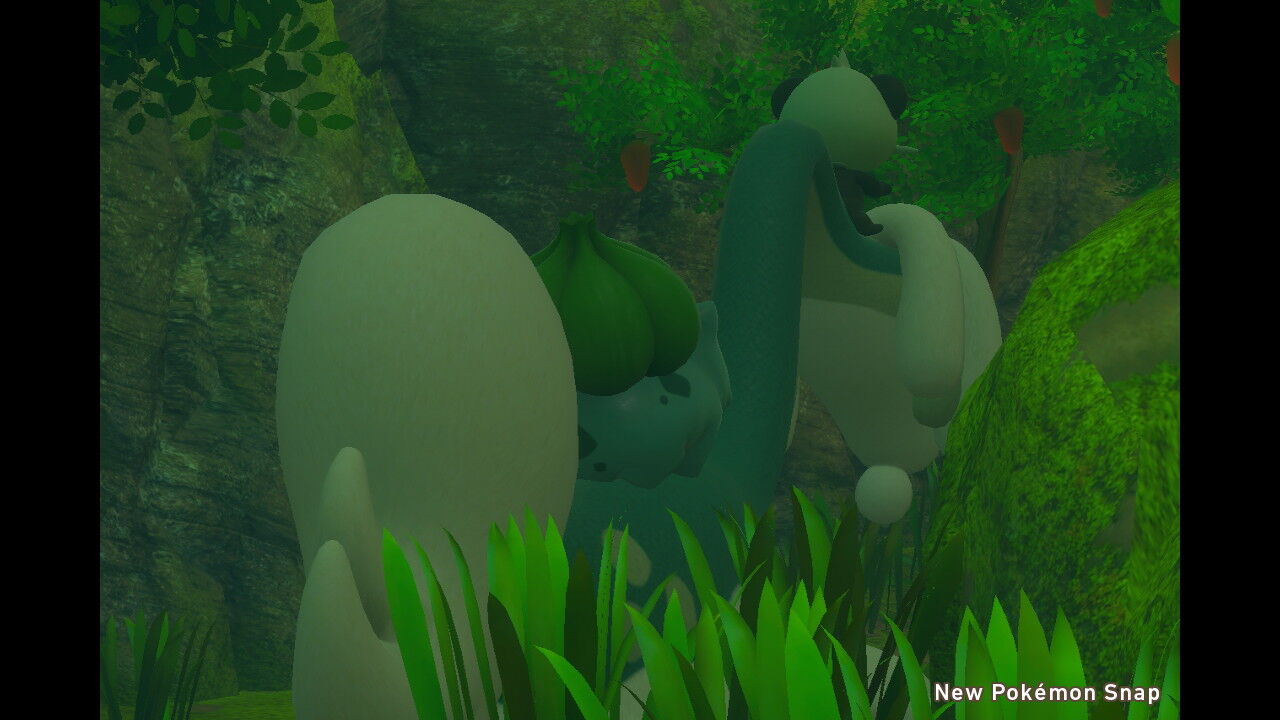 New ポケモンスナップ キュウコン ヤンチャム フシギダネ フシギバナ ねこじゃらし New ポケモンスナップ キュウコン ヤンチャム フシギダネ フシギバナ ねこじゃらし