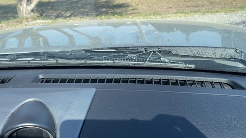 IMG_20230403_144442.MOV_snapshot_00.02_[2023.04.13_18.49.05]