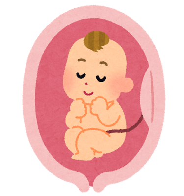 ﾟ C Est La Vie ﾟ 28w5d 逆子治らず