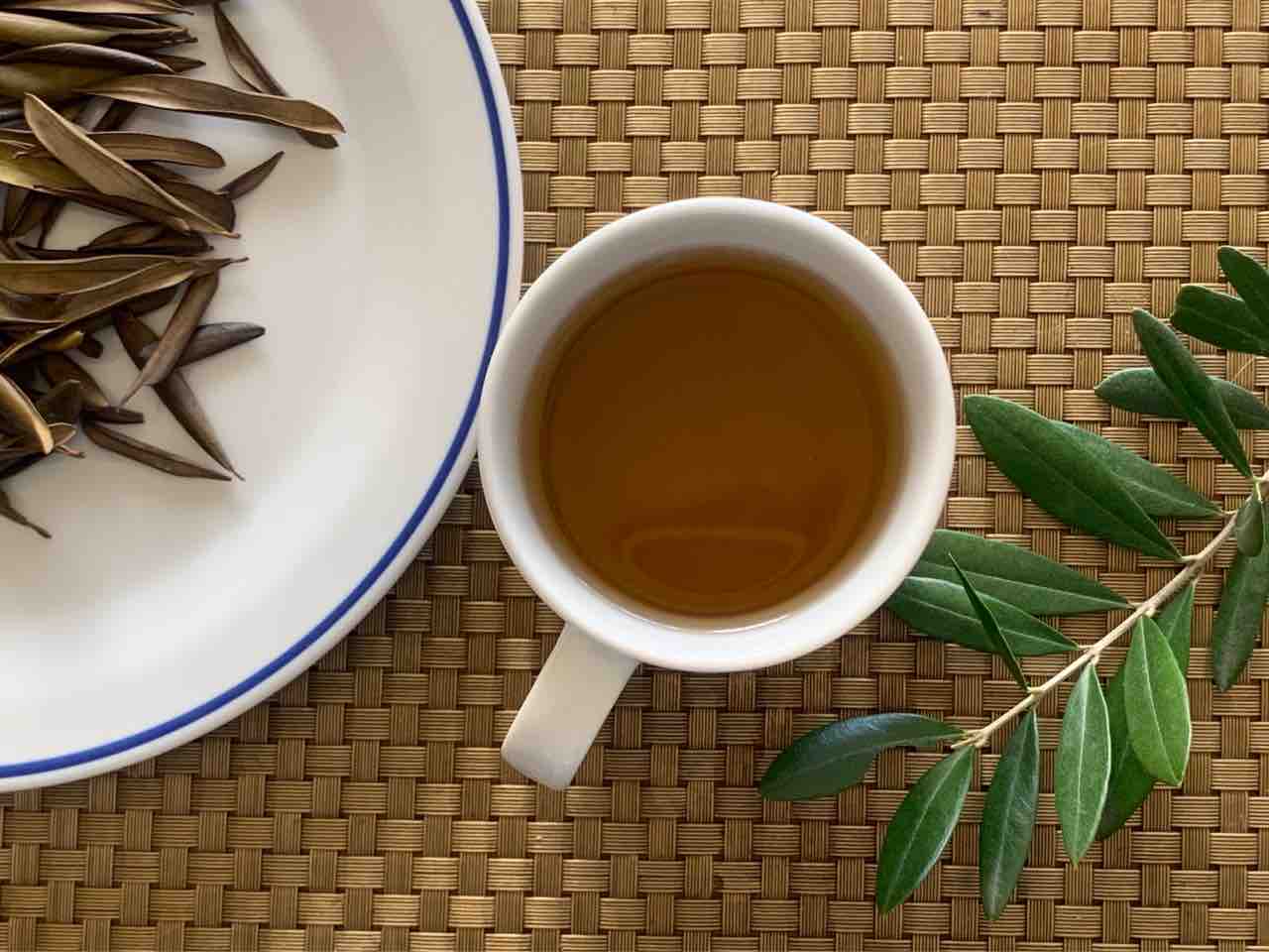オリーブ葉茶 Olive Mustache ひげぶろぐ オリーブ葉茶 Olive Mustache ひげぶろぐ
