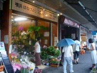 白楽の花屋 横浜 花びより 哲舟の呑む喰う浸かる 歴史に憩う