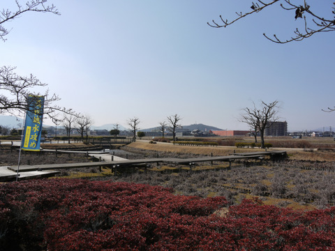 P1290154+1