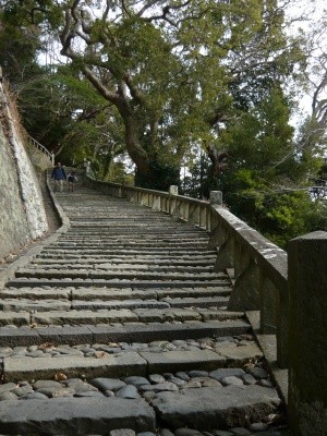 家康の遺体はどっちに 日光か 久能山か 哲舟の呑む喰う浸かる 歴史に憩う 家康の遺体はどっちに 日光か 久能山か 哲舟の呑む喰う浸かる 歴史に憩う