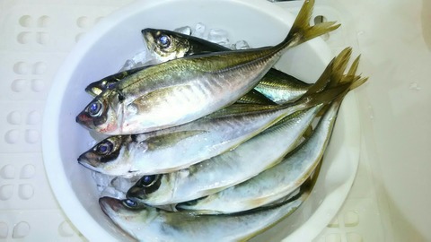 [画像:19d07c50-s.jpg]