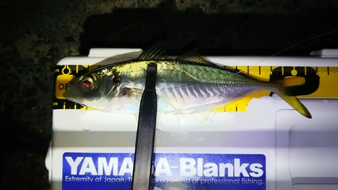 [画像:262178d8-s.jpg]