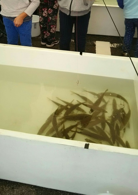 [画像:38ac2f48-s.jpg]