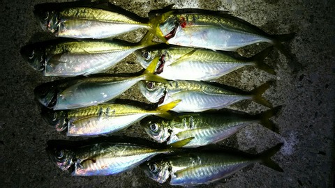 [画像:3dc74c32-s.jpg]