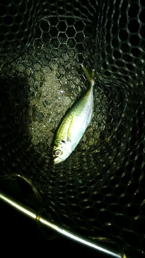 [画像:b9e9b339-s.jpg]