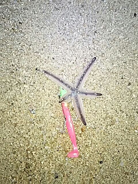 [画像:c459880d.jpg]