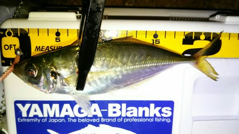 [画像:d81c95fe-s.jpg]