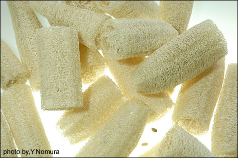 hetima11
