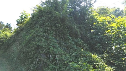 20230729ch (3)