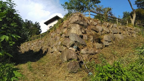 20230729ch (6)