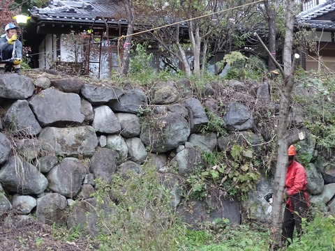 20201014n (5)