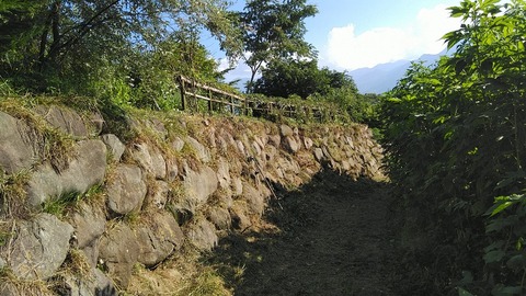 20230729ch (1)