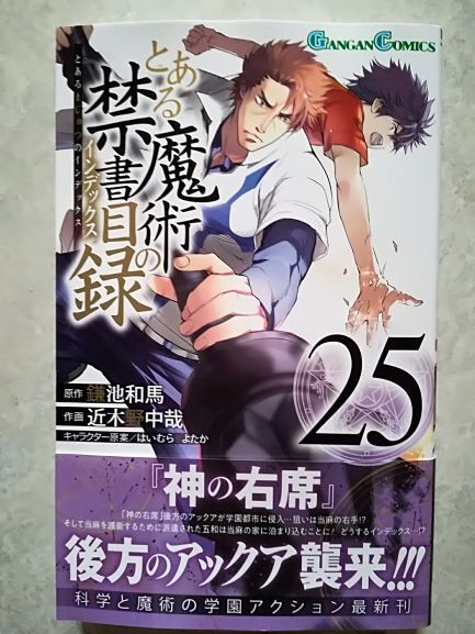 とある魔術の禁書目録 暇つぶしのすゝめ とある魔術の禁書目録 暇つぶしのすゝめ