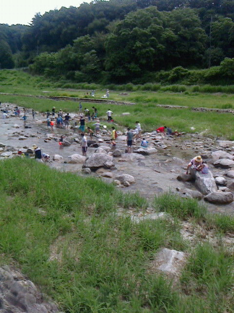 NEC_6114