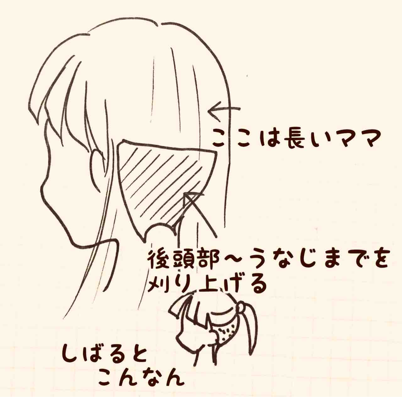 やってみたい髪型 飼い主に手を噛まれたよ 2nd Season やってみたい髪型 飼い主に手を噛まれたよ 2nd Season