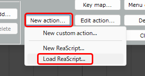 ReaScript_LoadScriptFile