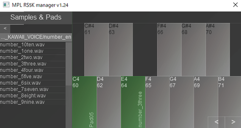 RS5K_Manager01