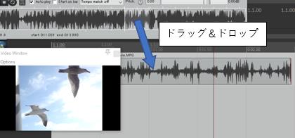 MEImportMovie01