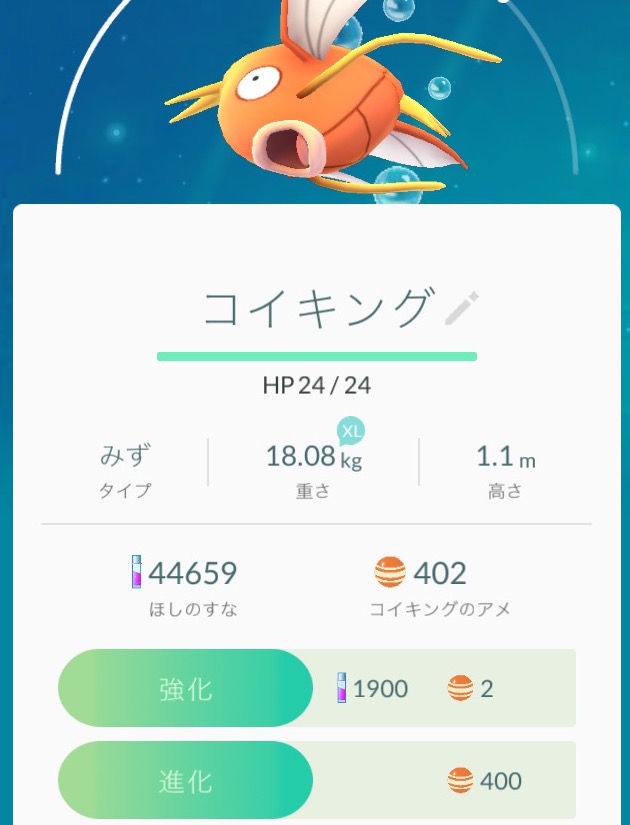 巣 ポケモン go フカマル