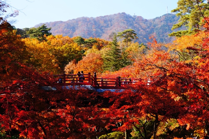 弥彦公園もみじ谷 新潟県弥彦 紅葉 超気まぐれ日記