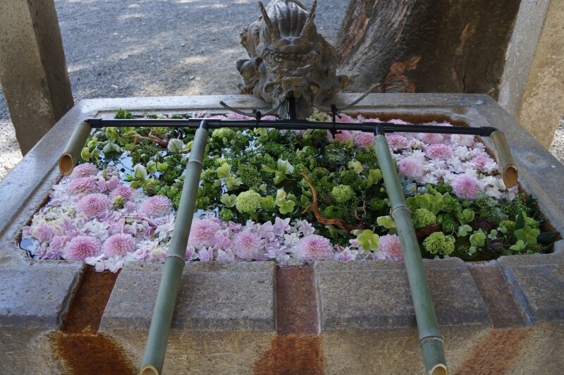穂高神社 長野県穂高 超気まぐれ日記