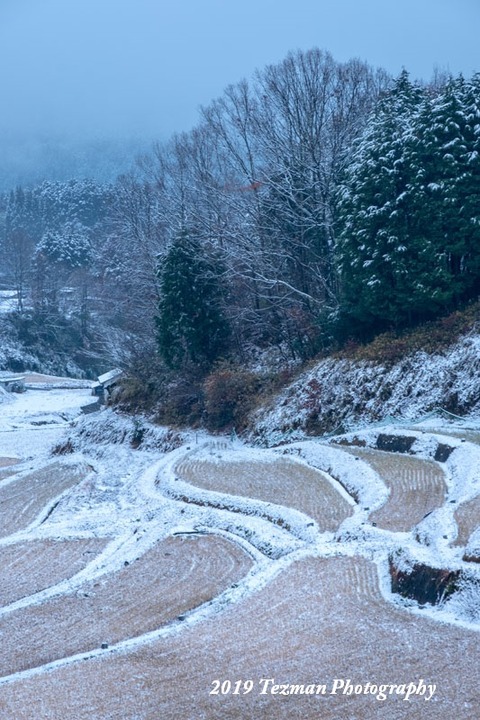191223宇陀雪3