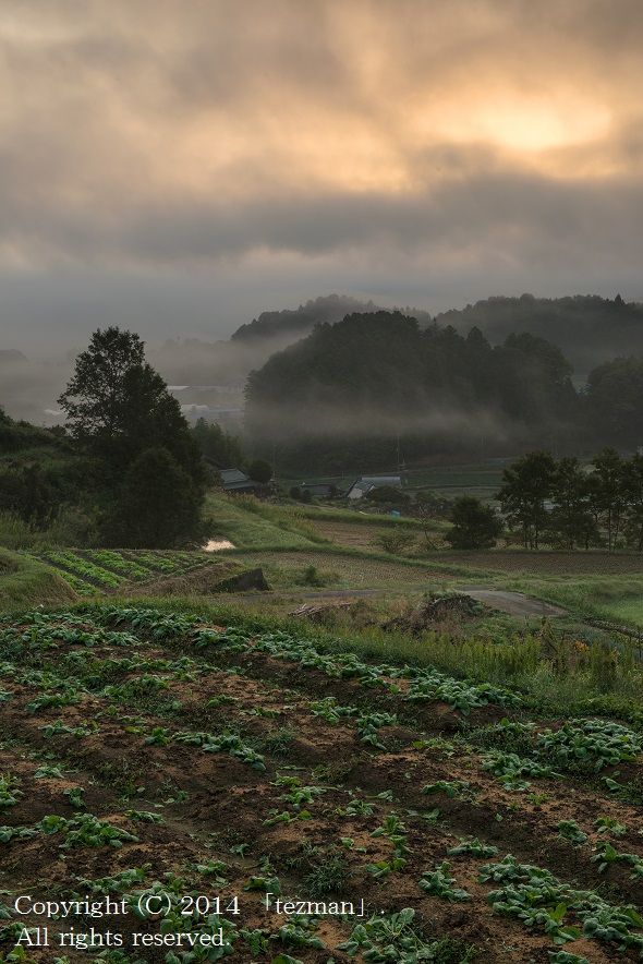 クリープを入れないコーヒーなんて てつまんの写真日記