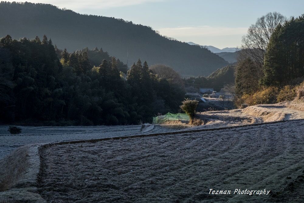 冬の朝日に 春の匂い てつまんの写真日記