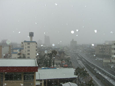 雪