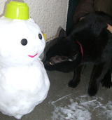 猫と雪2
