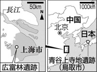 結核の痕跡