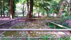 下賀茂神社の古代祭祀場