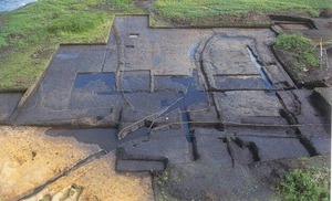 砂沢遺跡の水田遺構