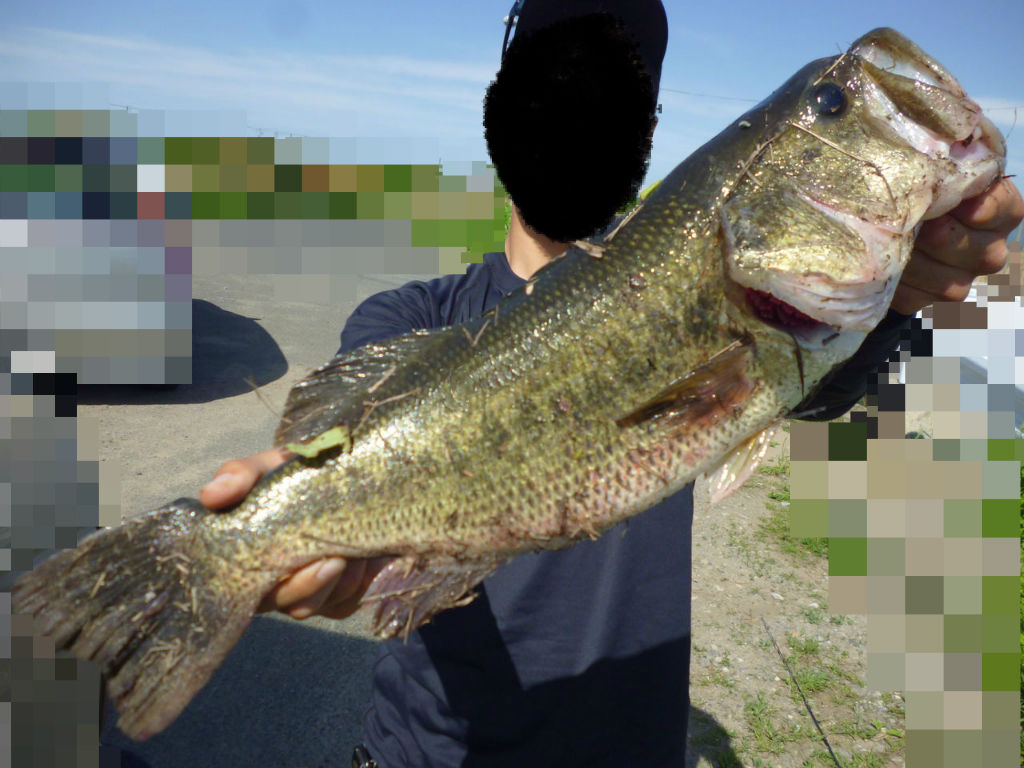 99 八郎潟でバス釣り
