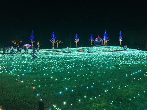 BDAB89DC-E242-4BC9-BFB9-AD20CDE5EDE7