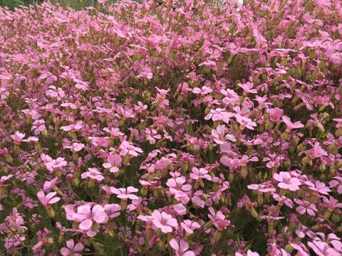 F68B008D-600D-4ECB-A66A-1B3D15E3D6C6