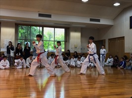 IMG_9520 (7)