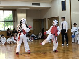 IMG_9496
