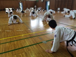 51 - コピー