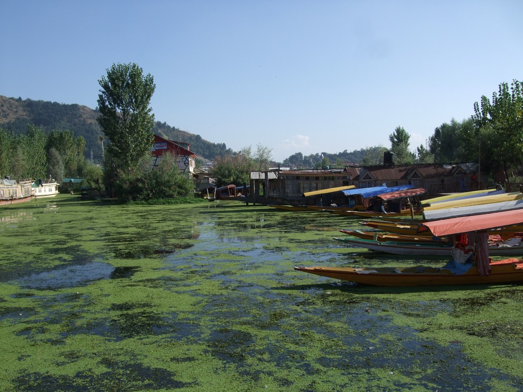 スリナガルからアムリトサルへ移動 はじめて親切なインド人に出会う 若者の脱サラバックパッカー