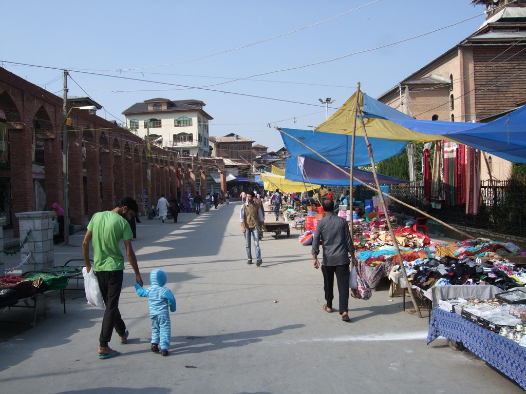 さようなら智くん インド スリナガル 若者の脱サラバックパッカー